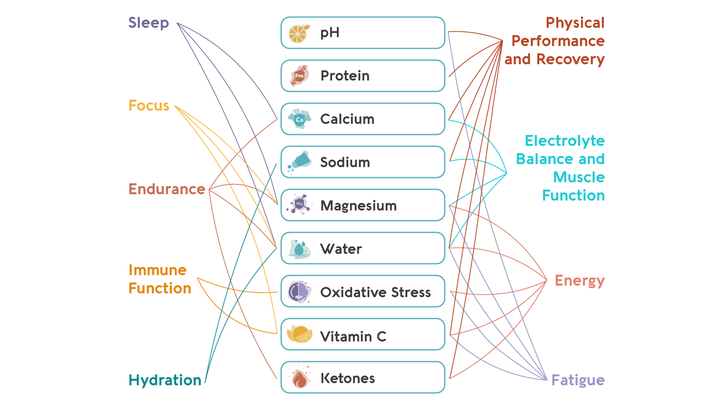 Vivoo Wellness Test